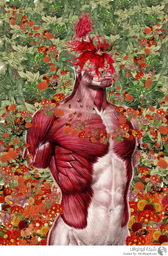 أجساد مُزهِرة .. سريالية الفن التصويري التشريحي !!  Surreal-anatomical-collages-by-travis-bedel-aka-bedelgeuse-3