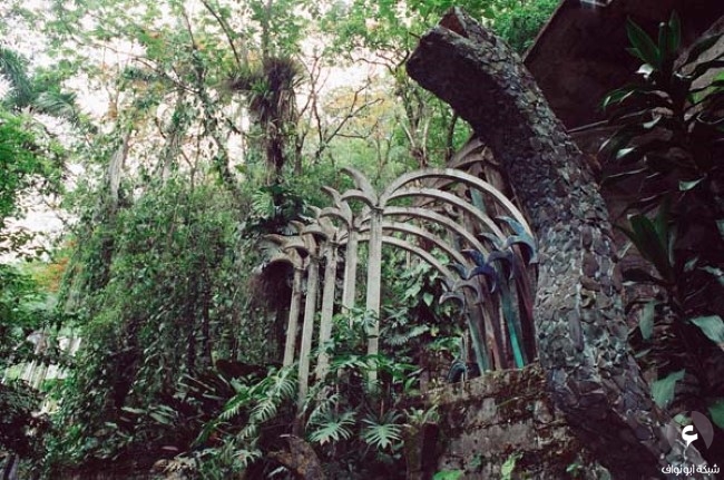جوهرة سحرية مخفية داخل غابات المكسيك. Mexico-forest20