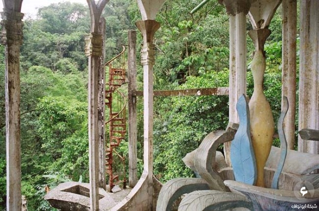 جوهرة سحرية مخفية داخل غابات المكسيك. Mexico-forest21