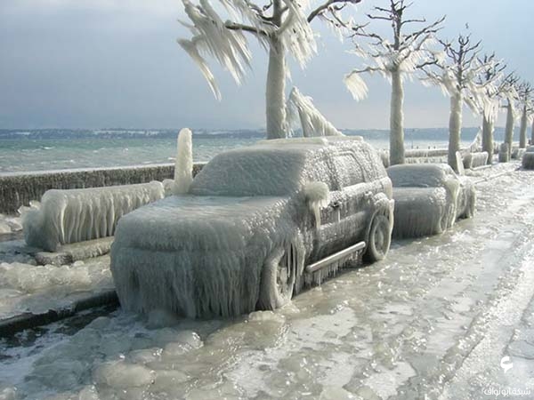 منظر رائع لتجمد الاشجار والسيارات Images-Of-Extreme-Cold-Weather-Conditions