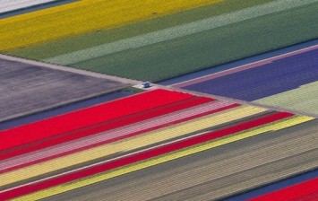 Keukenhof