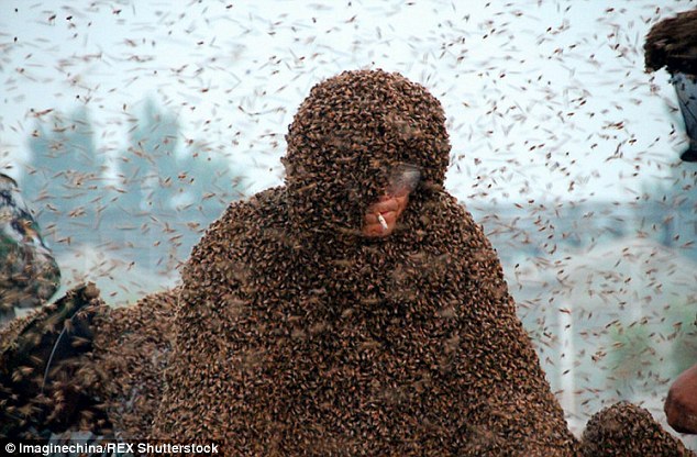 صيني يسجل رقم قياسي في حمل مليون نحلة على جسده