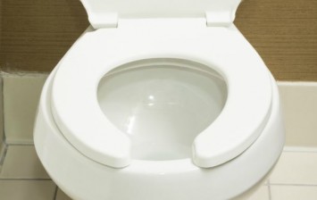 U-shaped toilet seat