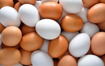 amazing-facts-you-didnt-know-about-eggs