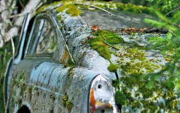 Atmospheric cemetery classic cars in the Swedish forest