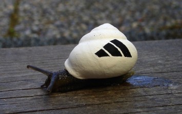 decorating snails shells