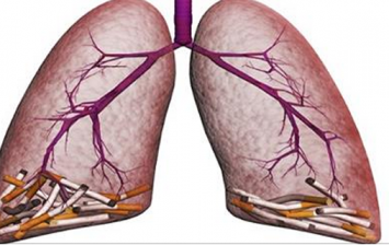 detoxify your lungs easily