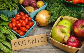 Organic Food