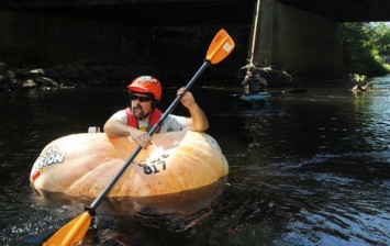 giant pumpkin