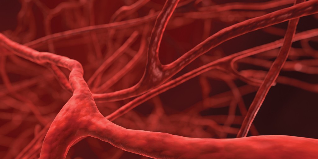 BLOOD-VESSELS-1024x512.jpg