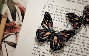 Drawing Butterflies