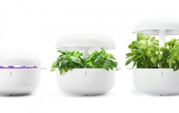 Plantui Smart Garden