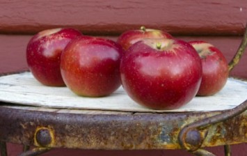 Tiny Spots on Apples