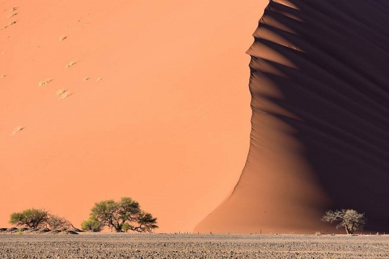 رمال صحراء