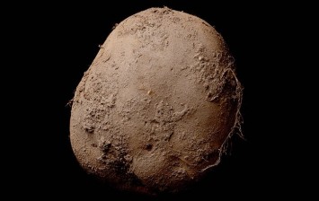 This Photo of a Potato Sold for over $1 Million