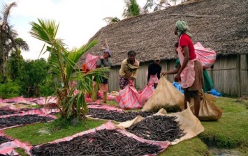 vanilla is grown in Madagascar