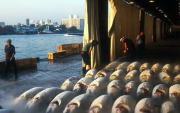 Tsukiji Fish Market