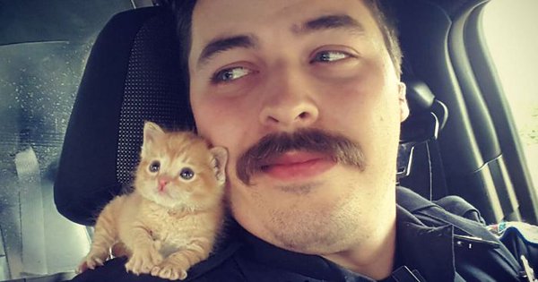 شرطي وقطة