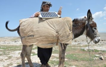 Charges Phone Using A Donkey and A Solar Panel