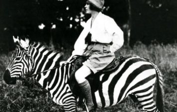 Ride Zebras
