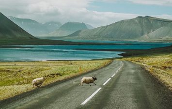 Roads of Iceland