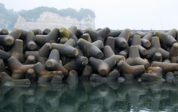 Tetrapods