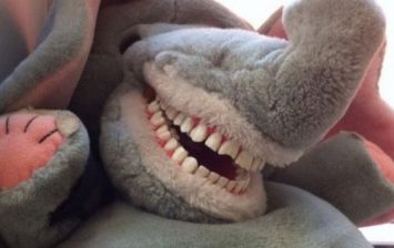 Toothy toys