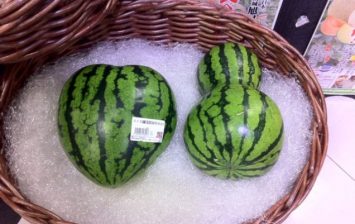 Japaneese Watermelon