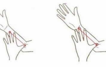 hand sizes