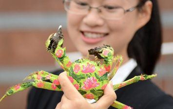 fashion show for crustaceans