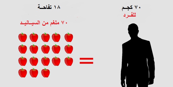 بذور التفاح 