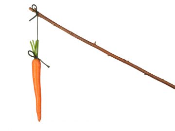 carrot and stick