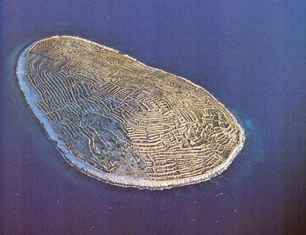 جزيرة البصمة