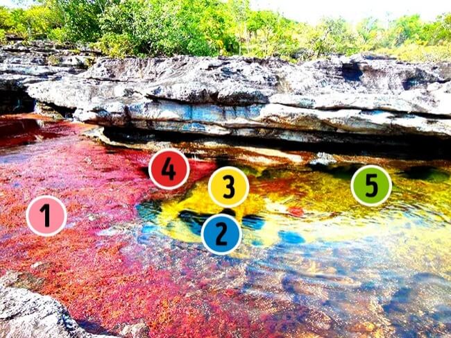 نهر الألوان