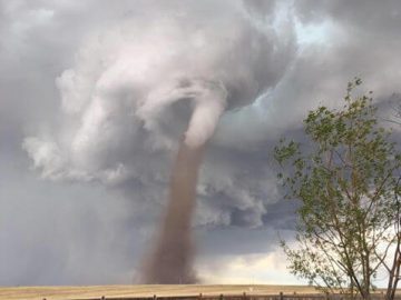 Canadian man mowing lawn is entirely not arsed by massive tornado behind him