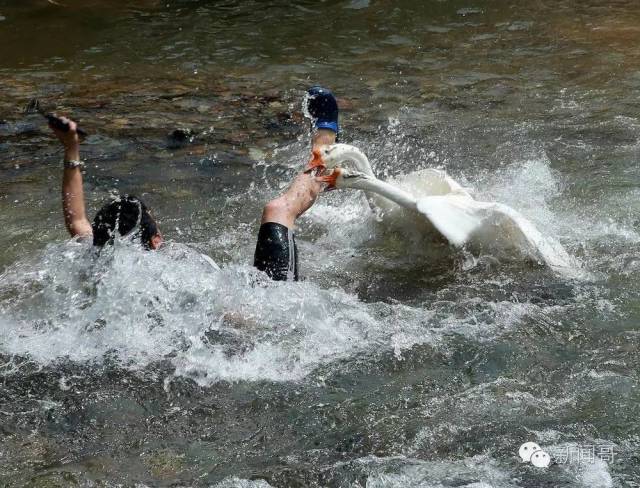 حوادث في الوقت المناسب 