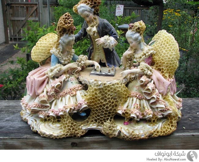 إعادة ترميم تماثيل خزفية بمساعدة من النحل