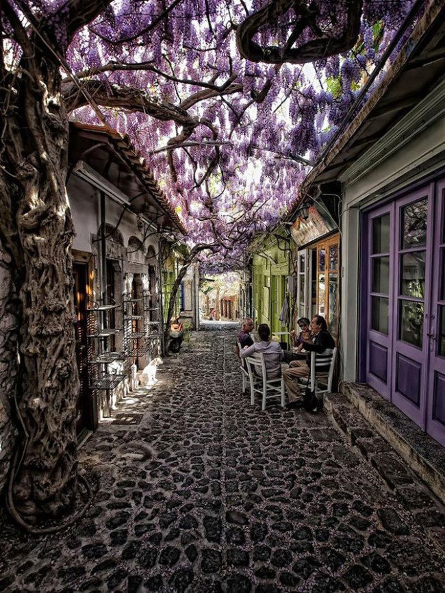 أجمل الشوارع في العالم المغطاة بالزهور والأشجار موليفوس، يسفوس، اليونان