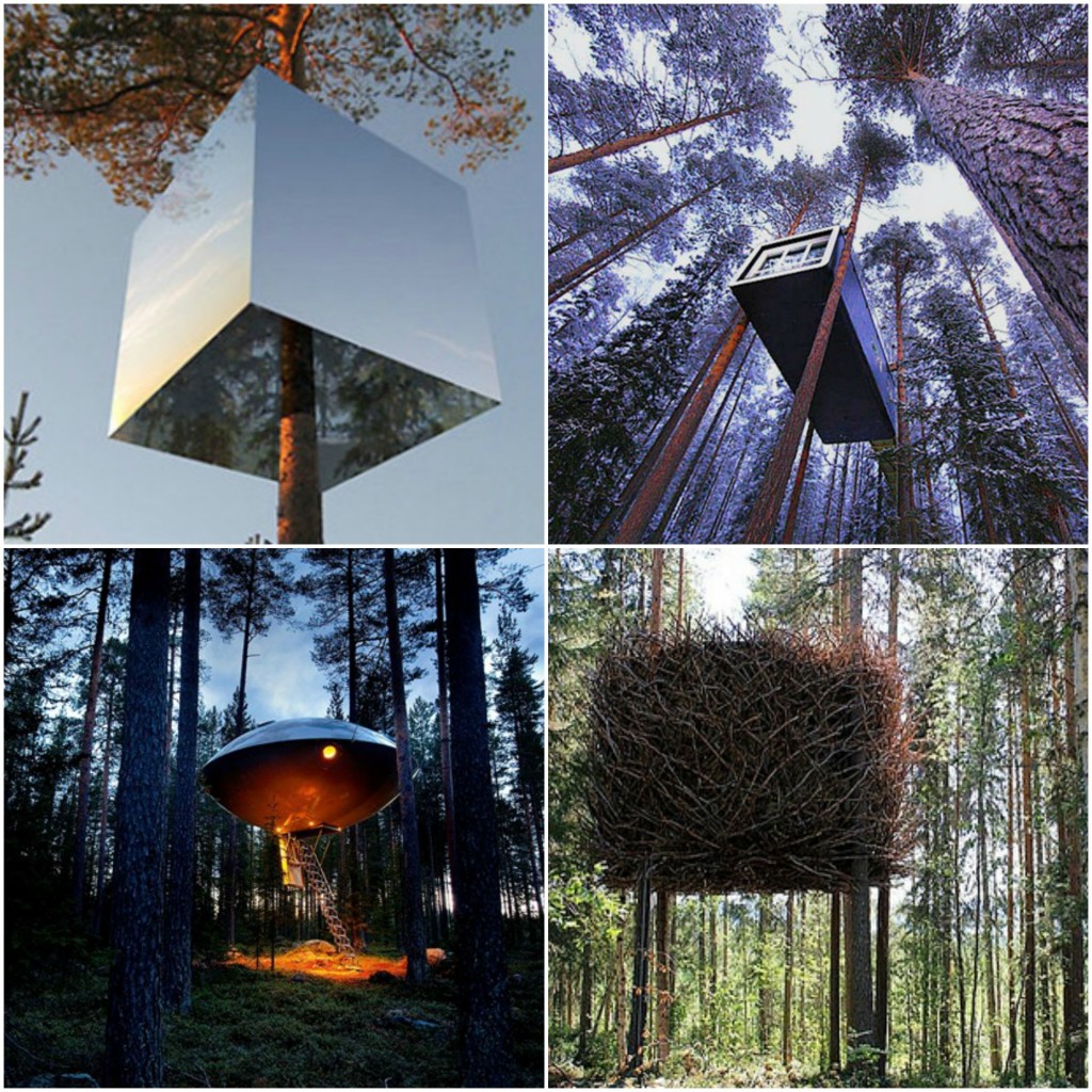 Treehotel