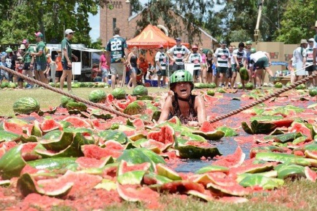 Watermelon-Festival - شبكة ابو نواف