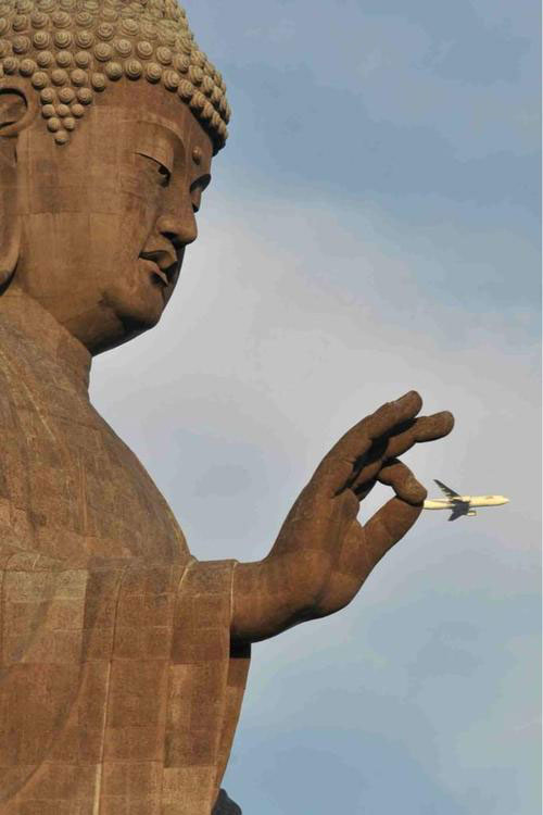 Perfectly Timed Photos 7