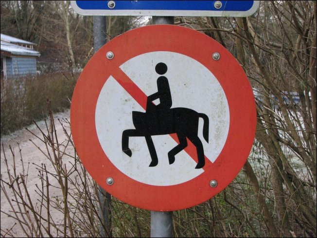 يمنع امتطاء الأحصنة 