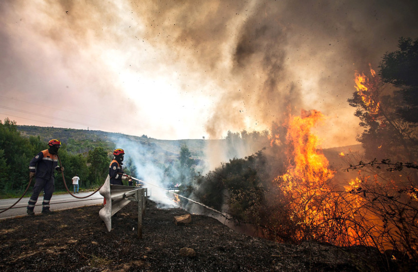 رجال الإطفاء يحاولون إطفاء حرائق الغابات في فيلا نوفا دي سيرفيرا