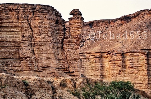 من أمثلة الهضاب في المملكة العربية السعودية الصُمان. عسير طويق. نجد