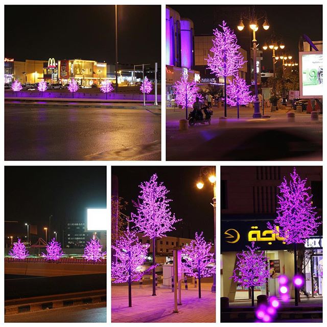 اللون البنفسجي في الرياض 