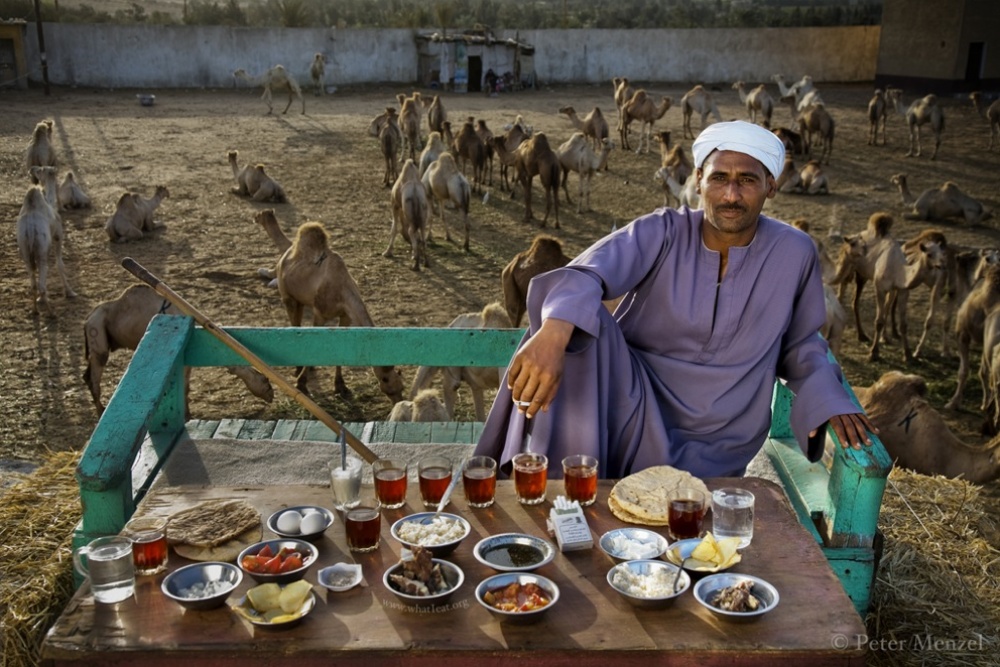 وجبات الطعام 