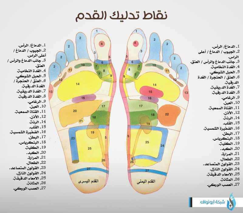 باطن القدم وعلاقتها بالجسم خاصة العين