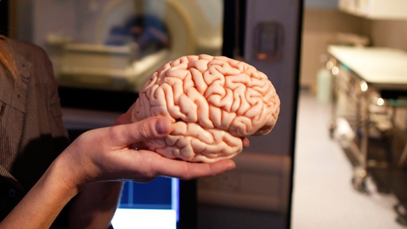 الإنسان يستخدم 10% فقط من دماغه 