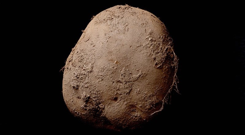 This Photo of a Potato Sold for over $1 Million