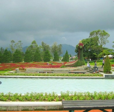 حديقة الزهور في إندونيسيا